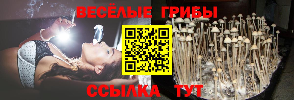 хочу   Вход с VPN  Арсеньев  Галлюциногенные грибы мицелий 
